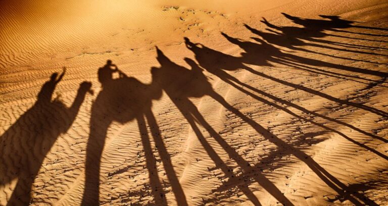 Taghazout: Sunset Camel Ride
