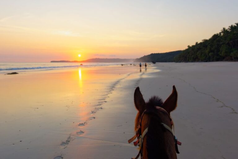 Taghazout: Sunset Horse Riding Experience on the Beach