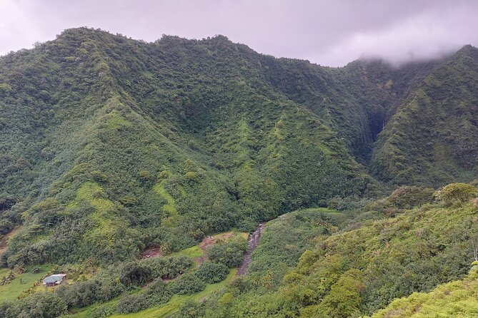 Tahiti Fautaua Valley and Big Waterfall Private Hiking Tour