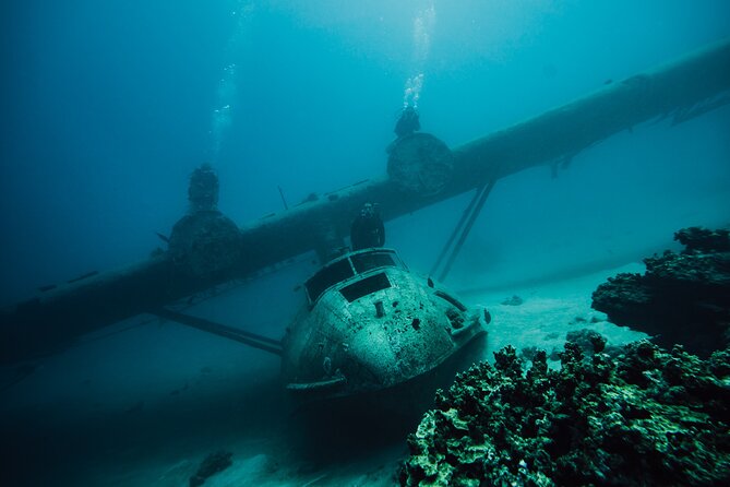 Tahiti Fun Certified Scuba Dive