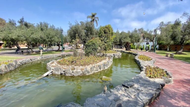 Take an Hour Stroll Around the Hidden Gems of El Olivar Park
