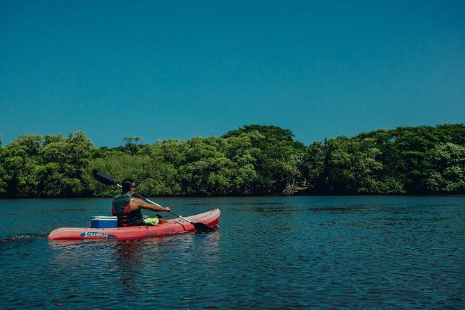 Tamarindo Kayak Estuary Mangrove Tour