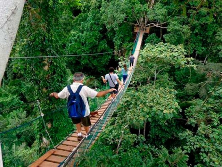 Tambopata: Lago Sandoval and Colpa of Loros 3- Days