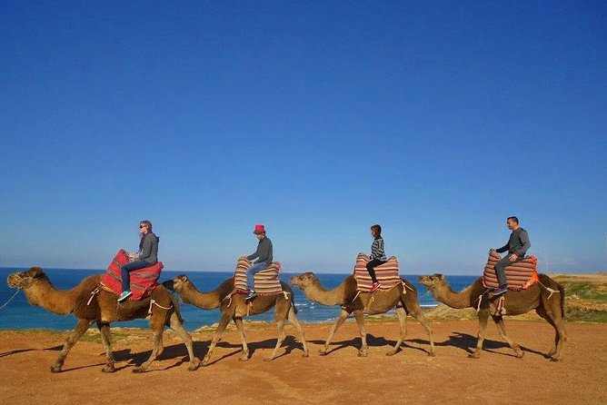 Tangier in Morocco Private Tour From Seville for up to 8 Persons - Itinerary Highlights