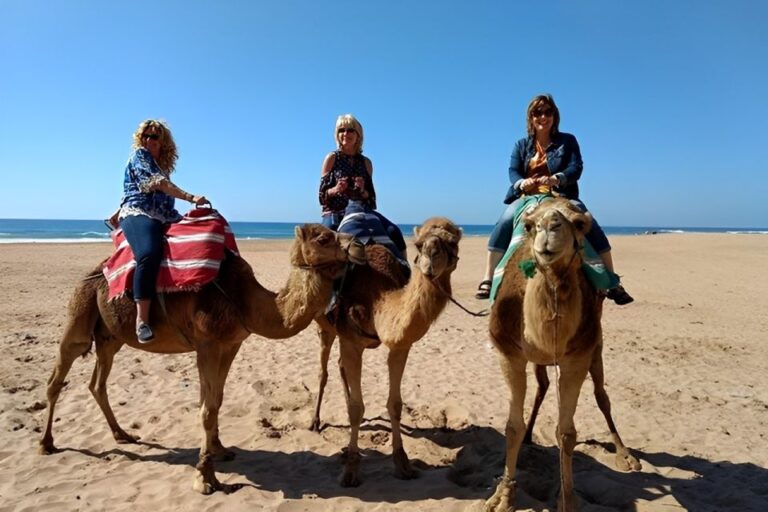Tangier: Private Half-Day Tour and Camel Ride