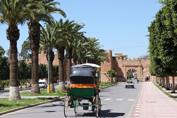 Taroudant and Tiout Day Trip From Agadir With Lunch