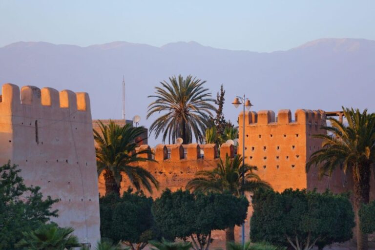 Taroudant and Tiout Oasis Trip With Lunch