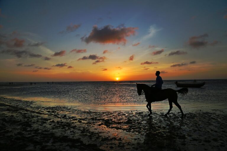 Taroudant or Agadir Taghazout: Horse Riding Agadir City Tour