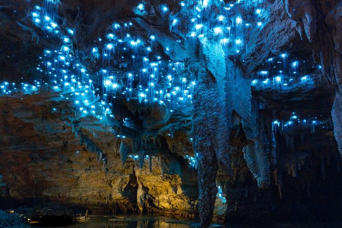 Tauranga – Waitomo : Ancient “Glow-Worm Caves” Private Day Tour