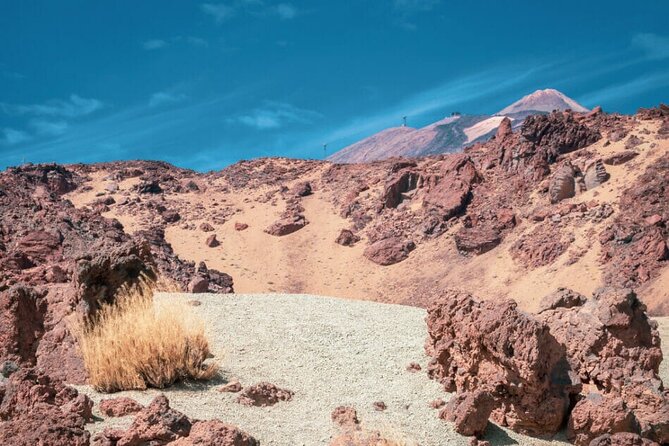 Teide National Park Full Experience With Professional Guide - Questions and Additional Information