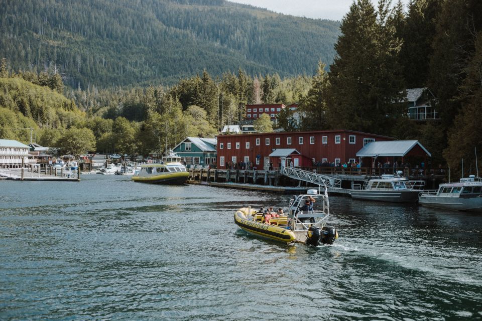 1 telegraph cove 3 hour whale watching tour in a zodiac boat Telegraph Cove: 3-Hour Whale Watching Tour in a Zodiac Boat