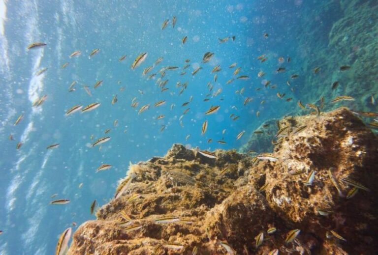 Tenerife: 3 Day/6 Dives Open Water Diver Course