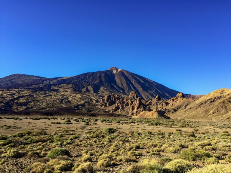 Tenerife Private Tour: Mount Teide Nature and Wine