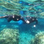 1 tenerife snorkeling tour in a marine protected area Tenerife: Snorkeling Tour in a Marine Protected Area
