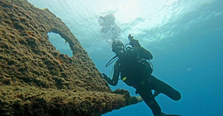 Terceira: Angra Do Heroísmo Scuba Diving Tour With 2 Dives