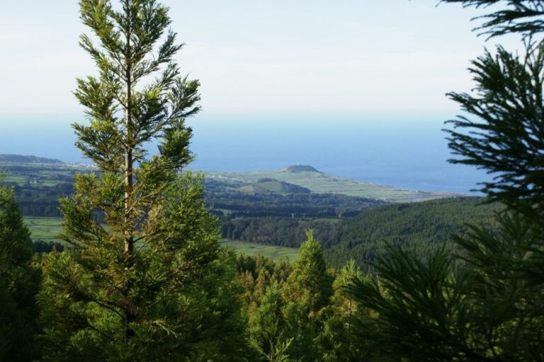 Terceira Island: Half-Day 4X4 Tour