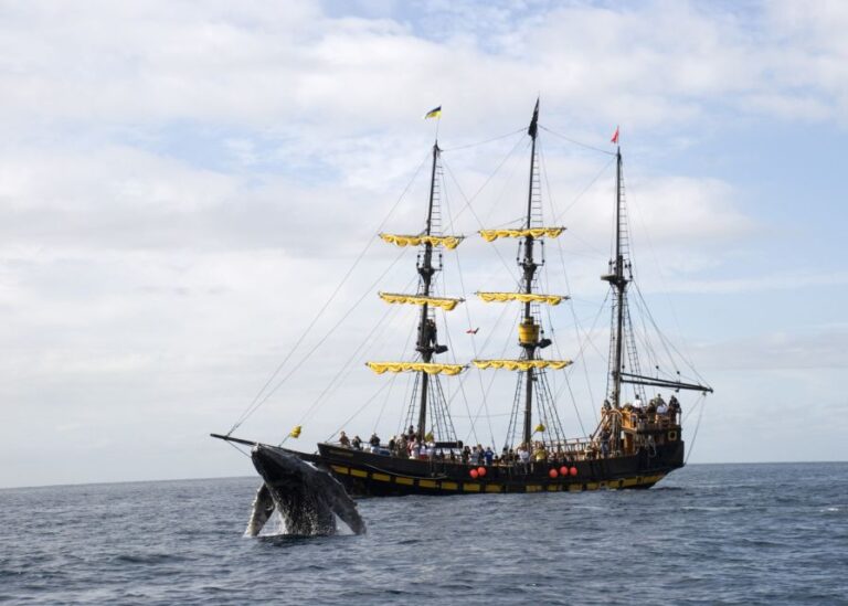 Thar She Blows! Whale Watching Pirate Cruise