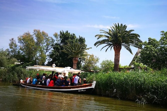 The Albufera Natural Park Private Tour From Valencia With Transport
