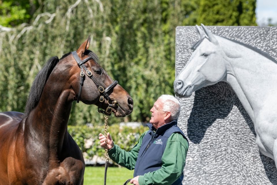 1 the best irish national stud gardens entry tickets The BEST Irish National Stud & Gardens Entry Tickets