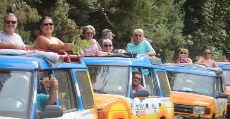 The BEST Madeira Bus & Minivan Tours