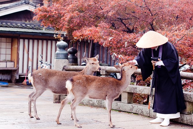 The Best of Nara Walking Tour