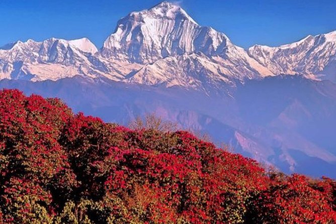 The Best of Nepal : 5-Day Trek to Ghorepani Poon Hill & Ghandruk
