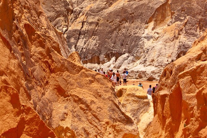 1 the colorful sands of morro branco beach full day tour The Colorful Sands of Morro Branco Beach - Full Day Tour