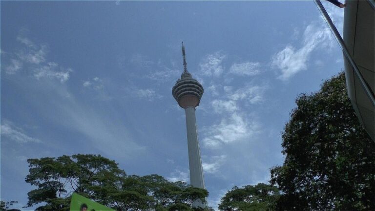 The Great Kuala Lumpur Tour With KL Tower Ticket & Lunch