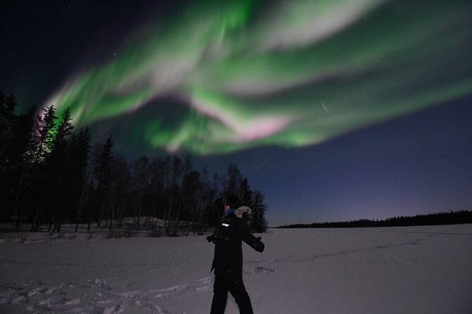 The Greatest Valuable Aurora Manor & Hunting Tour –Exclusive Tour Operator