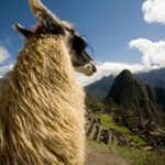 1 the inca trail 4 day trek to machu picchu The Inca Trail: 4-Day Trek to Machu Picchu
