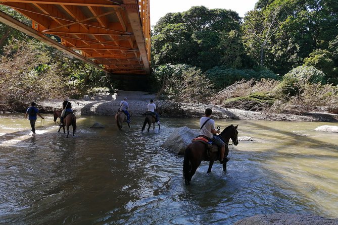 The Naranjos Beach Horseback Riding in Tayrona Park. - Booking Information
