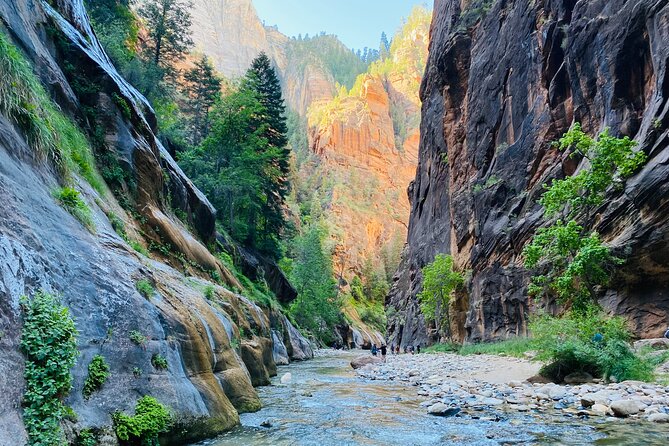1 the narrows zion national park private guided hike The Narrows: Zion National Park Private Guided Hike
