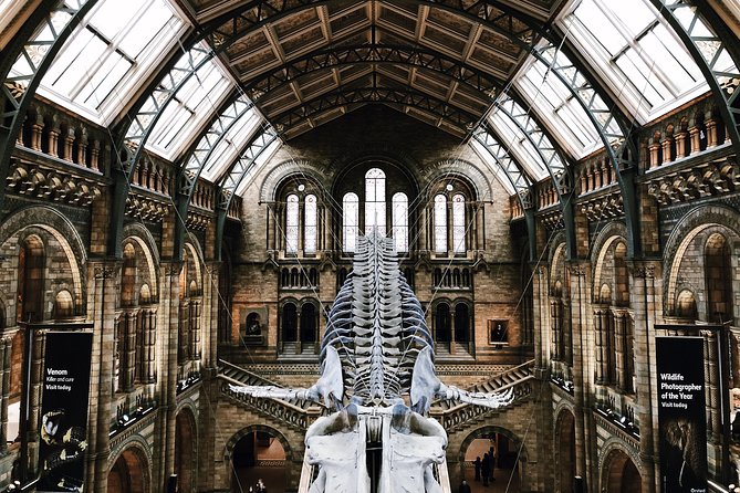 The Natural History Museum London Guided Tour – Semi-Private 8ppl Max