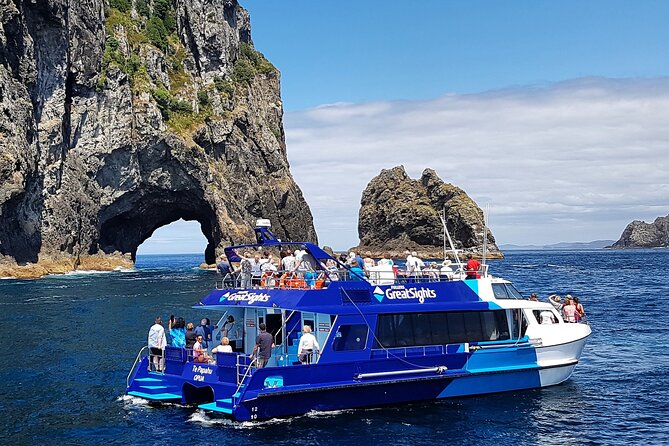 The Original Full Day Bay of Islands Cruise With Dolphins