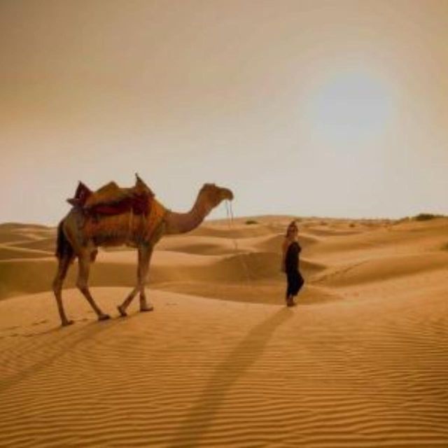 The Real Jodhpur Camel Safari In Desert Wita Marwadi Dinner - Full Description