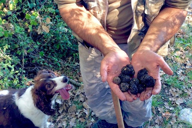 1 the real truffle hunting in abruzzo The Real Truffle Hunting in Abruzzo