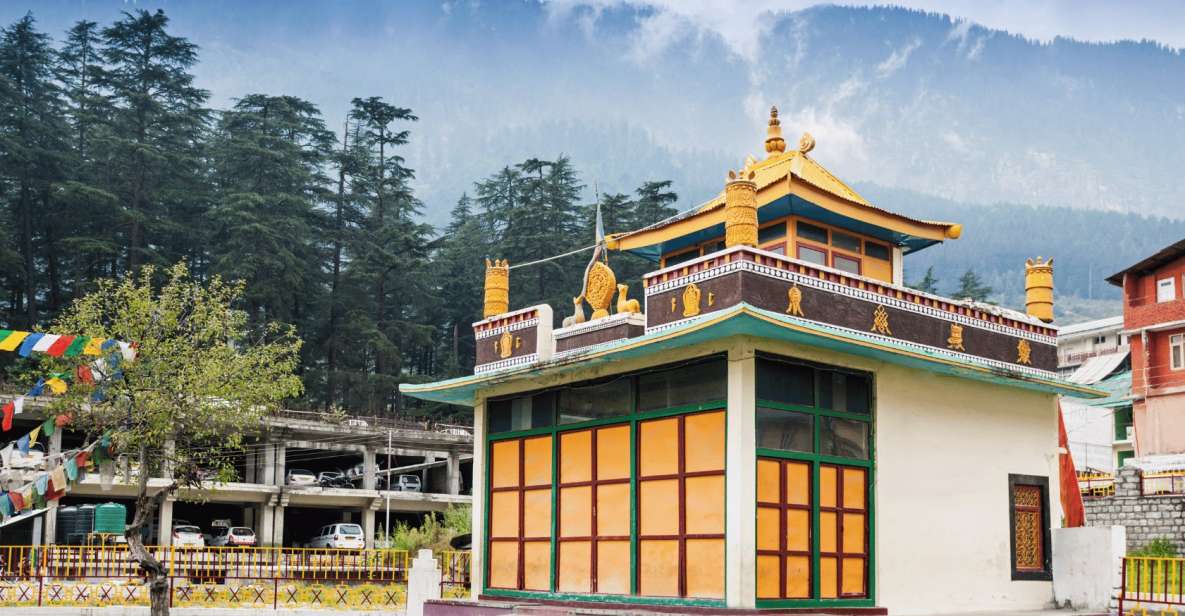 1 the spiritual trails of dharamshalaguided walking tour The Spiritual Trails of Dharamshala(Guided Walking Tour)