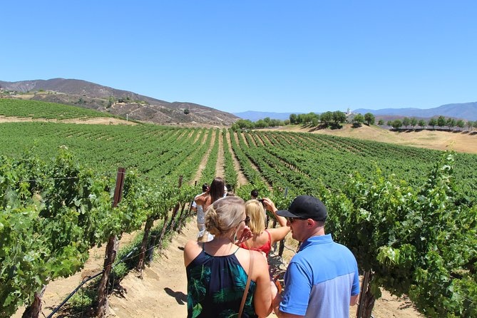 1 the temecula wine tour from anaheim The Temecula Wine Tour From Anaheim