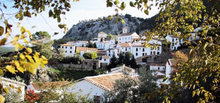 The White Towns of Andalusia: Private Day Trip From Cádiz