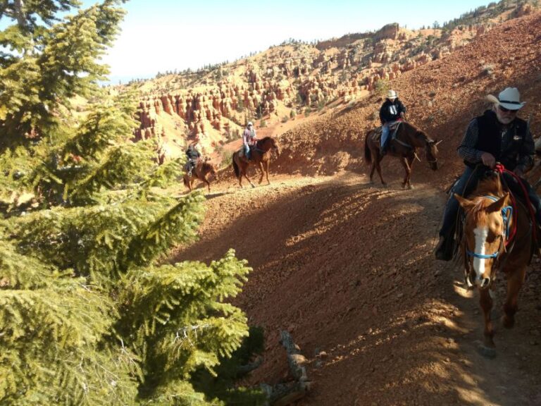 Thunder Mountain Trail: Scenic Horseback Ride