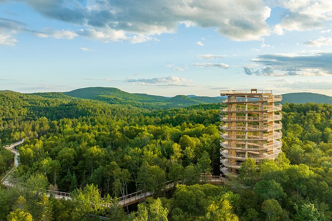 Ticket to Mont Tremblant Treetop Observatory and Walk