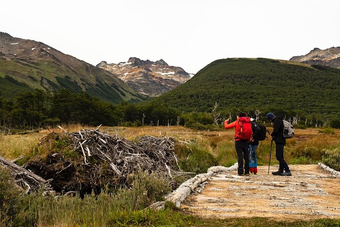 Tierra Del Fuego National Park With the End of the World Train