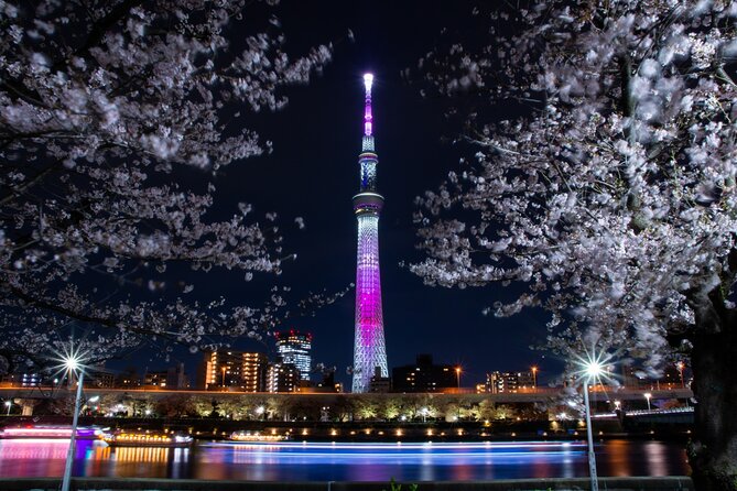 Tokyo Cherry-Blossom Viewing Traditional Dinner Cruise