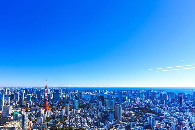 Tokyo Helicopter Ride: 3 Flight Durations & Mt. Fuji Option