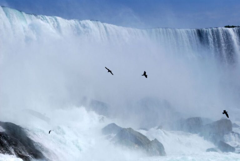 Toronto: Small-Group Niagara Falls Day Trip