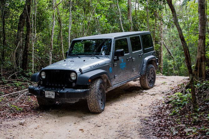Tortugas Jeep Adventure & ATV Jungle Experience