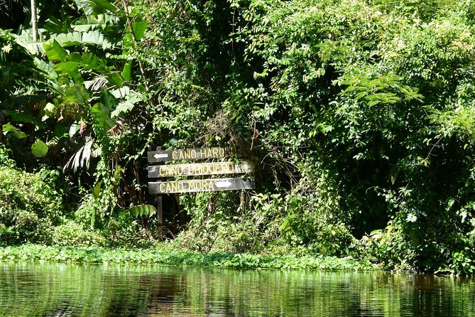 1 tortuguero clasicos 2 tours canoe and day hike Tortuguero Clasicos - 2 Tours: Canoe and Day Hike