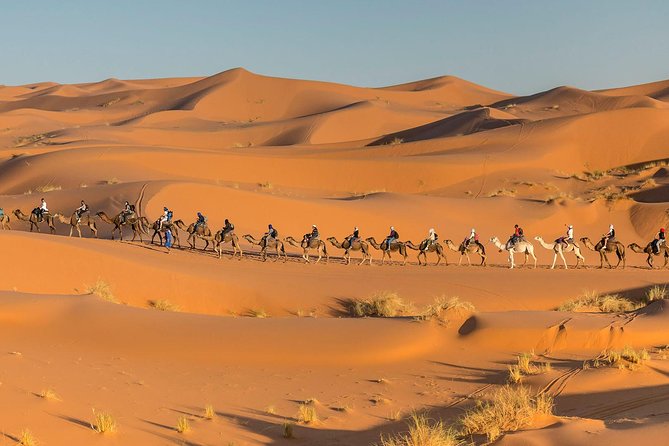 Tour From Marrakech to the Desert 4 Days