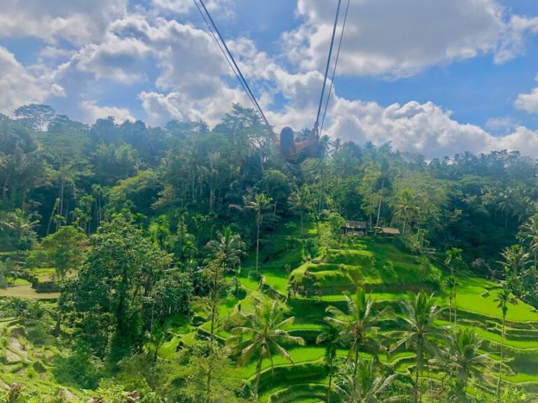 Tour Full Day Ubud, Water Fall,Coffe Atv,And Rice Paddy