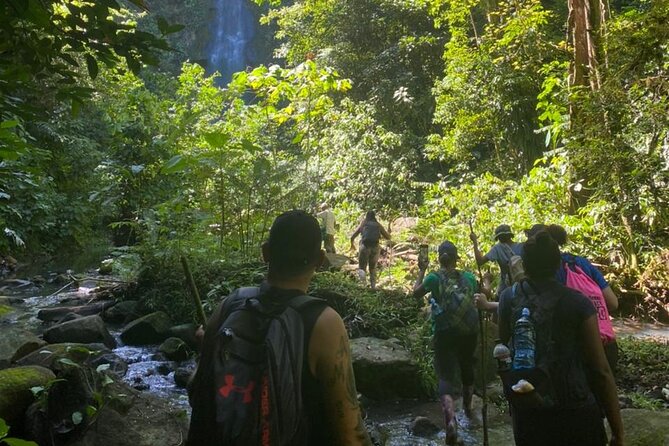 Tour Shaman Medicinal Plants and Waterfalls